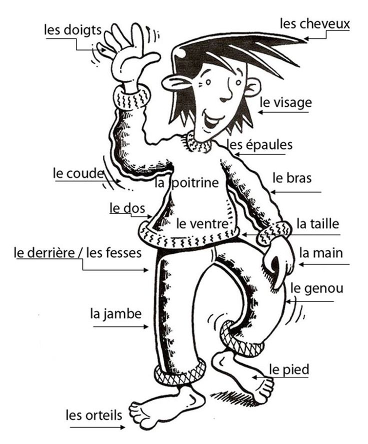 french learning software for mac